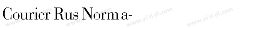 Courier Rus Norma字体转换